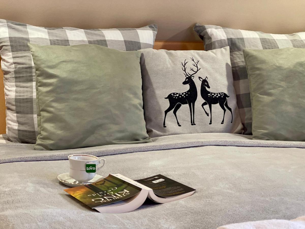 Dolina Sarenek Hotel Сейни Екстериор снимка