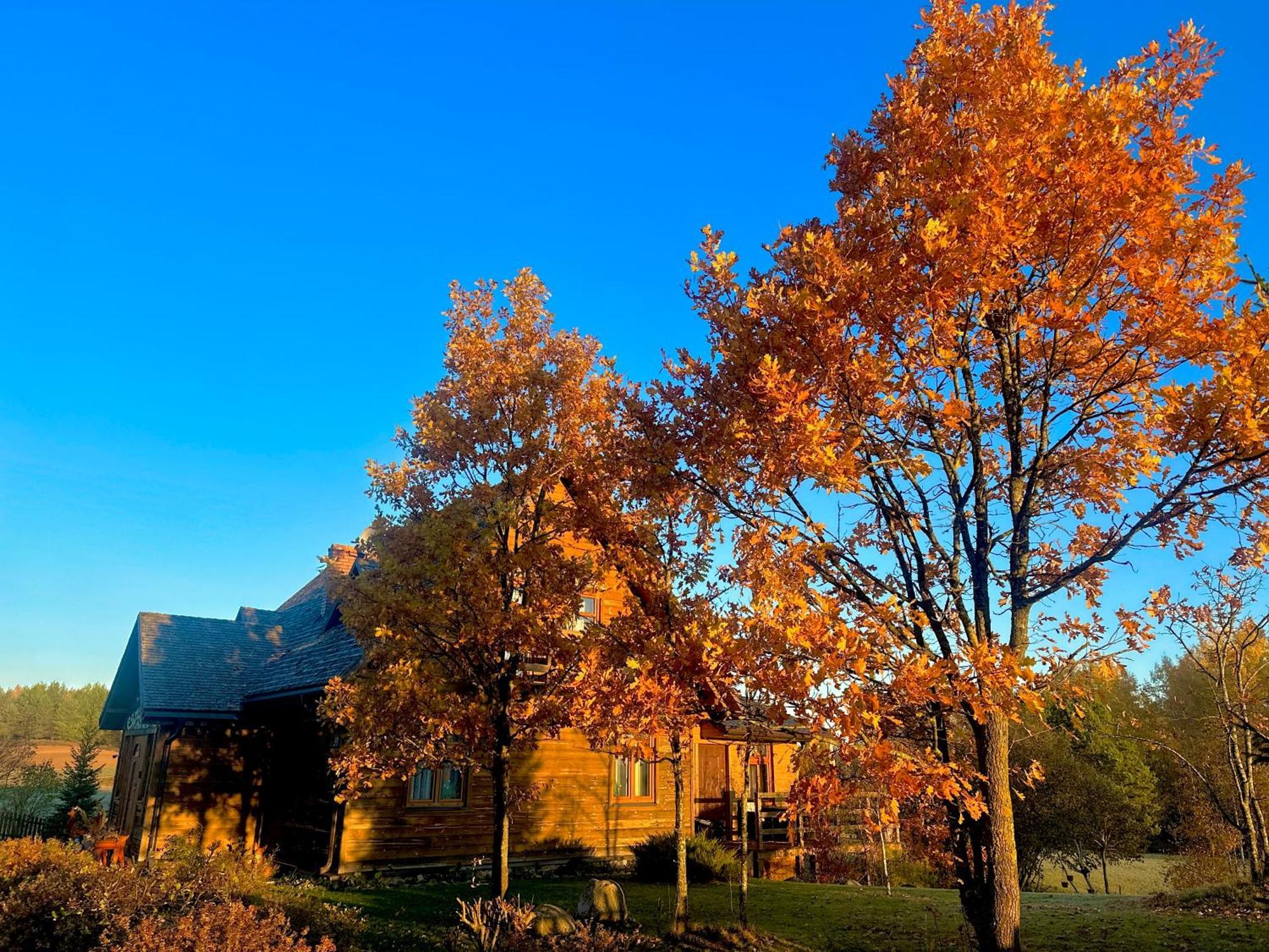 Dolina Sarenek Hotel Сейни Екстериор снимка
